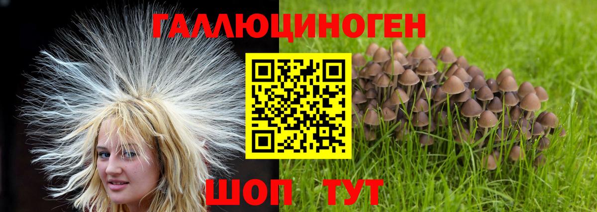 Галлюциногенные грибы Magic Shrooms Грозный