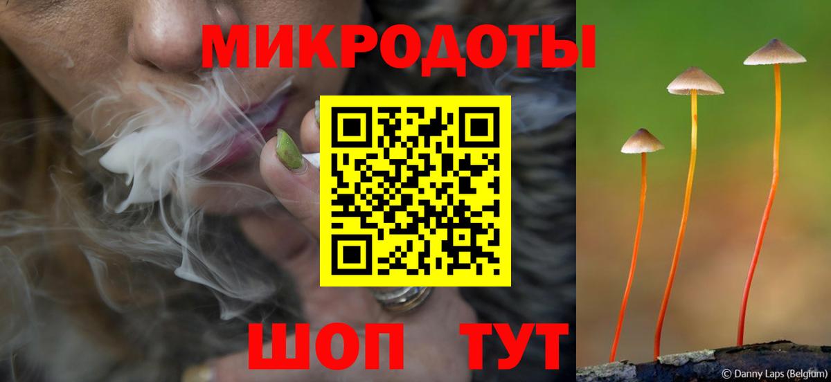 Грозный  Псилоцибиновые грибы ЛСД  Вход с VPN  Псилоцибиновые грибы GOLDEN TEACHER 
